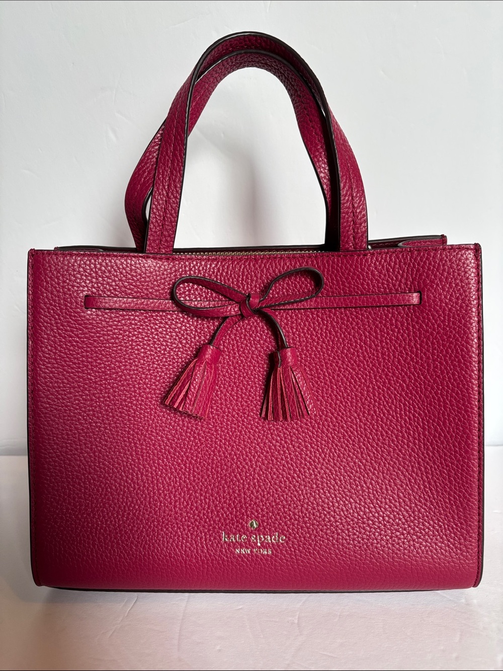 Kate Spade Hayes Small Satchel Crossbody Bag